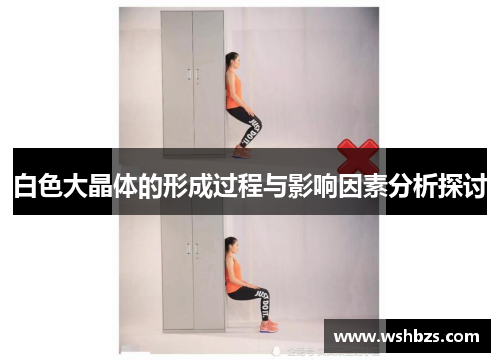 白色大晶体的形成过程与影响因素分析探讨
