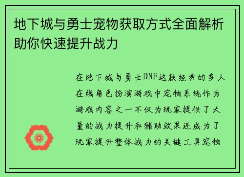 地下城与勇士宠物获取方式全面解析助你快速提升战力