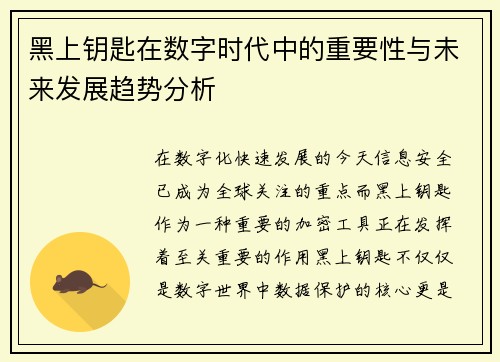 黑上钥匙在数字时代中的重要性与未来发展趋势分析 黑上钥匙在数字时代中的重要性与未来发展趋势分析